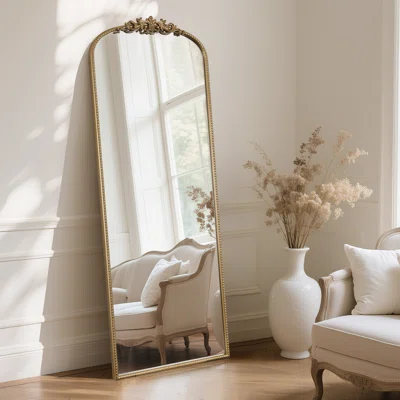 Tahari Home decorative mirror full length gold frame