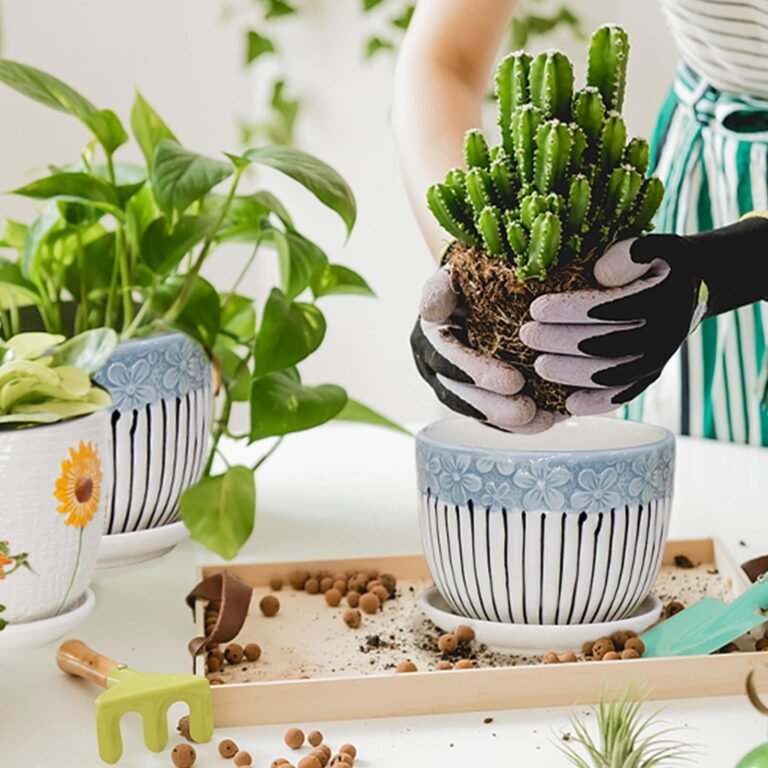 Ceramic & Decorative Plant Pots - Premium Indoor Planters Collection