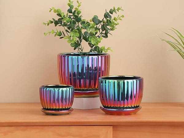 Ceramic & Decorative Plant Pots - Premium Planters Collection